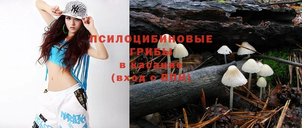 стафф Магас